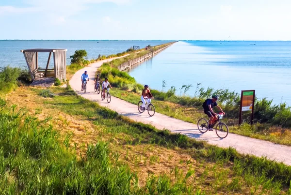 Noleggio Bici
